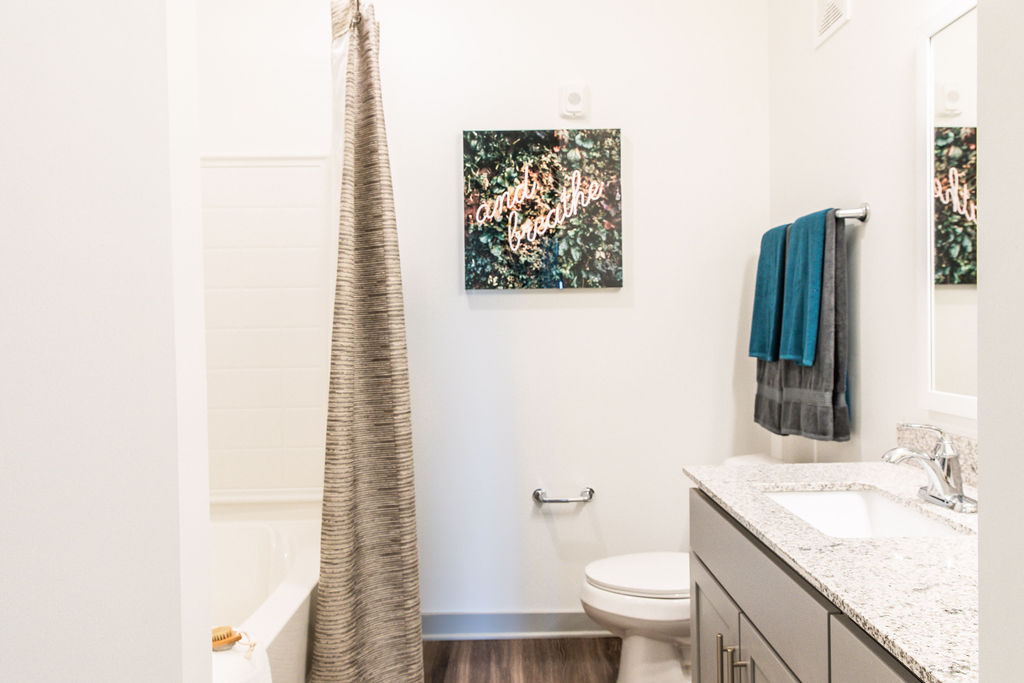 Dog-Friendly Apartments in Birmingham, AL - Estelle Birmingham - Bathroom with Shower and Tub Combo, Grey Cabinetry, Wood-Grain Plank Flooring, and Granite Countertop